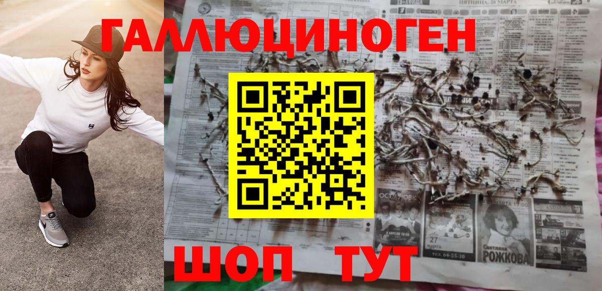 Псилоцибиновые грибы Psilocybine cubensis  Псилоцибиновые грибы Psilocybine cubensis  Вход с VPN  купить наркотик  Новоалександровск 