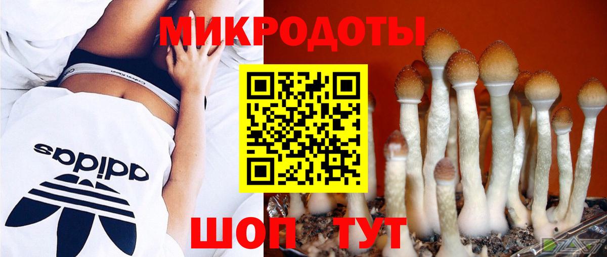 Галлюциногенные грибы Magic Shrooms Новоалександровск